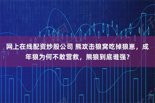 网上在线配资炒股公司 熊攻击狼窝吃掉狼崽，成年狼为何不敢营救，熊狼到底谁强？