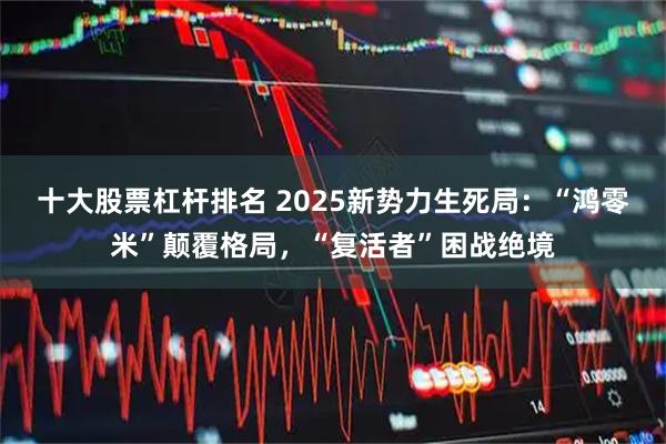 十大股票杠杆排名 2025新势力生死局：“鸿零米”颠覆格局，“复活者”困战绝境